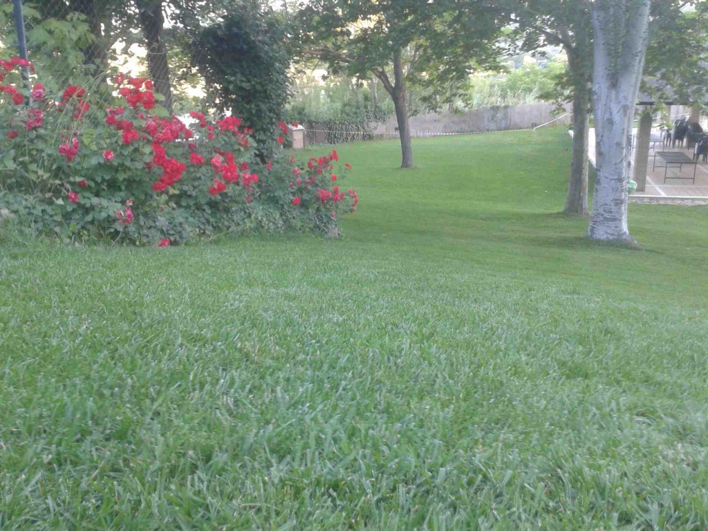 20150528_074257 - copia.jpg